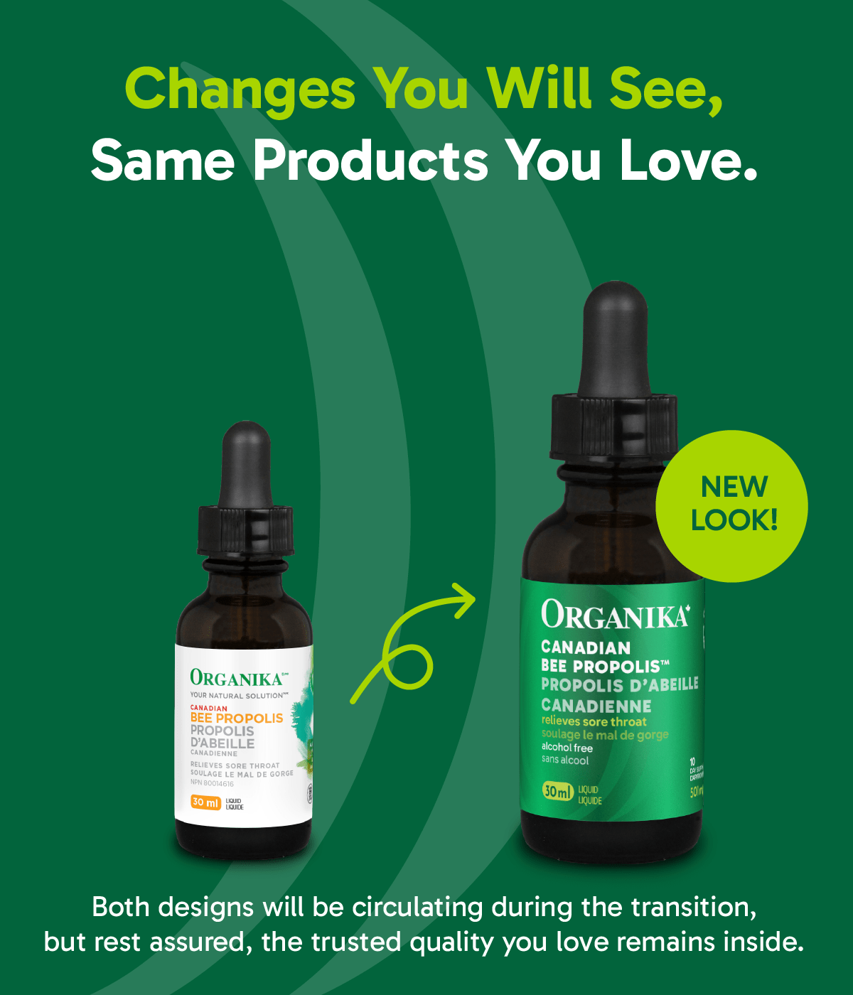 6x Organika Liquid Bee Propolis 30ml Alcohol Free Bundle