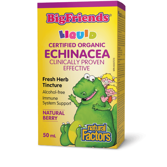 Natural Factors Echinacea Alcohol-Free Fresh Herb Tincture for Kids, 50 ml