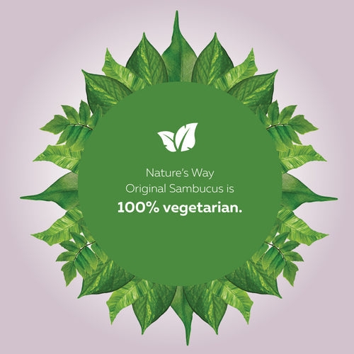 Nature's Way Sambucus Immune Cold and Flu Care Syrup 4 fl oz (120 ml)