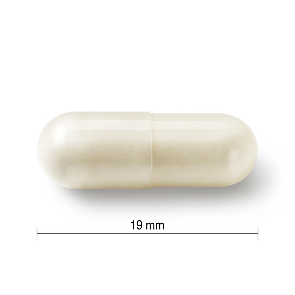 健美生 Jamieson Probiotic Complex For Adults 50 +, 30 capsules length 19 mm