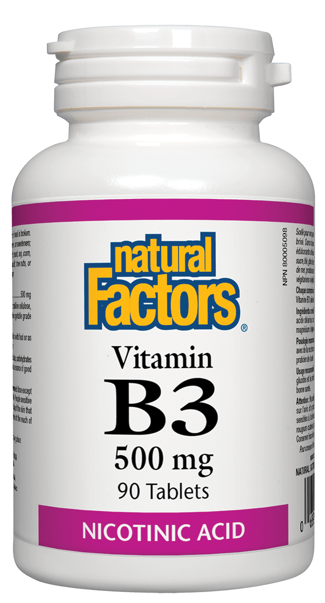 Natural Factors Vitamin B3 500 mg 90 tablets