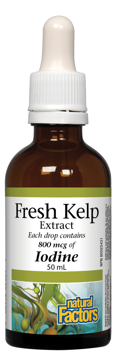 Natural Factors Fresh Kelp Extract, 800 mcg of Iodine Liquid, 50 mL