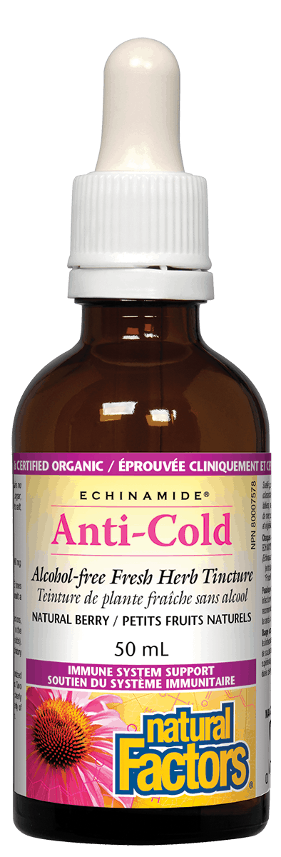 A bottle of Natural Factors ECHINAMIDE Echinacea alcohol-free fresh herb tincture in natural berry flavor.