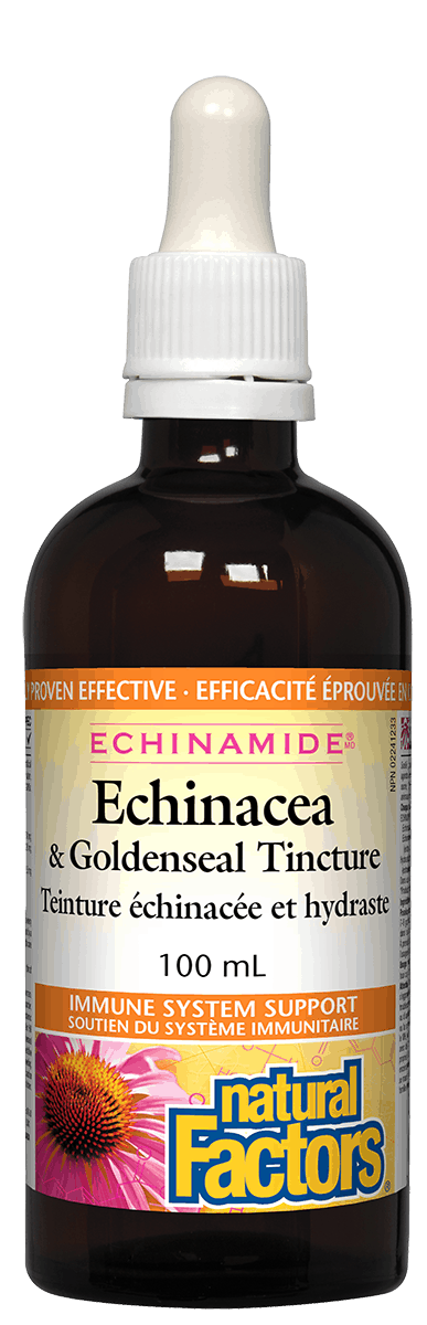 Bottle of Natural Factors Echinacea & Goldenseal Tincture with a dropper, labeled as having 100 ml volume and being clinically proven to support the immune system.