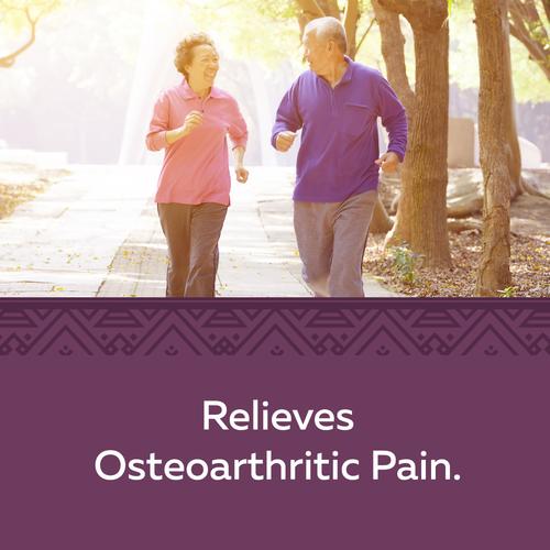 Nature's Way 乳香風濕散膠囊,60錠