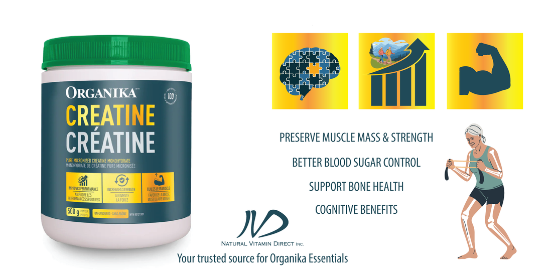Organika Creatine: The Underrated Longevity Supplement for Strength, Energy & Healthy Aging