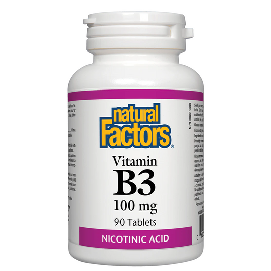 Natural Factors Vitamin B3 100 mg 90 tablets