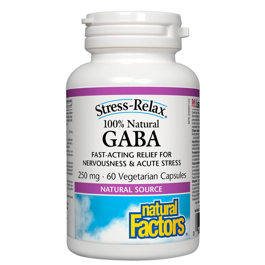 Bottle of Natural Factors GABA supplement on a white background