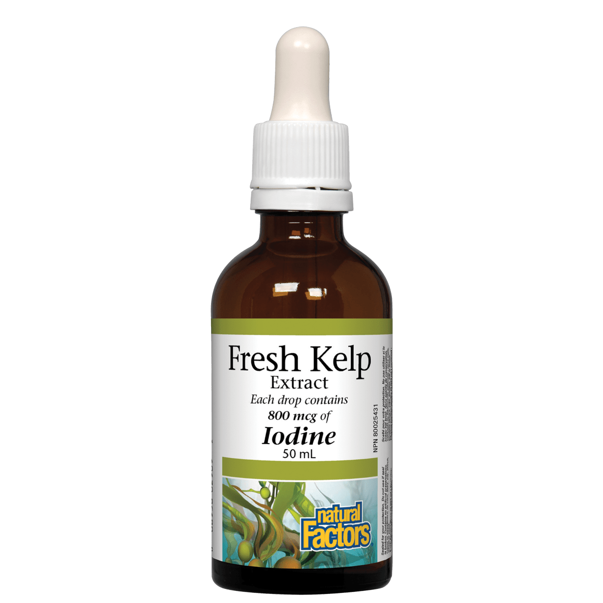 Natural Factors Fresh Kelp Extract, 800 mcg of Iodine Liquid, 50 mL