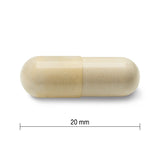 2 x Jamieson Glucosamine Sulfate, 500mg, 360 Capsules Bundle