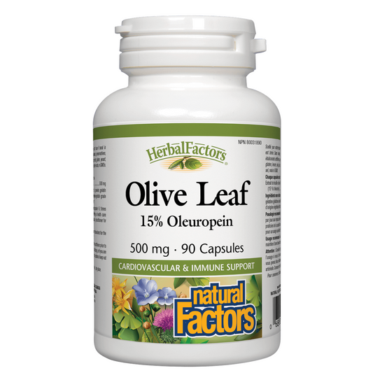 Herbal Factors Olive Leaf supplement bottle on a white background Natural Factors natvd.com Natural Vitamin Direct Inc Shop Canadian
