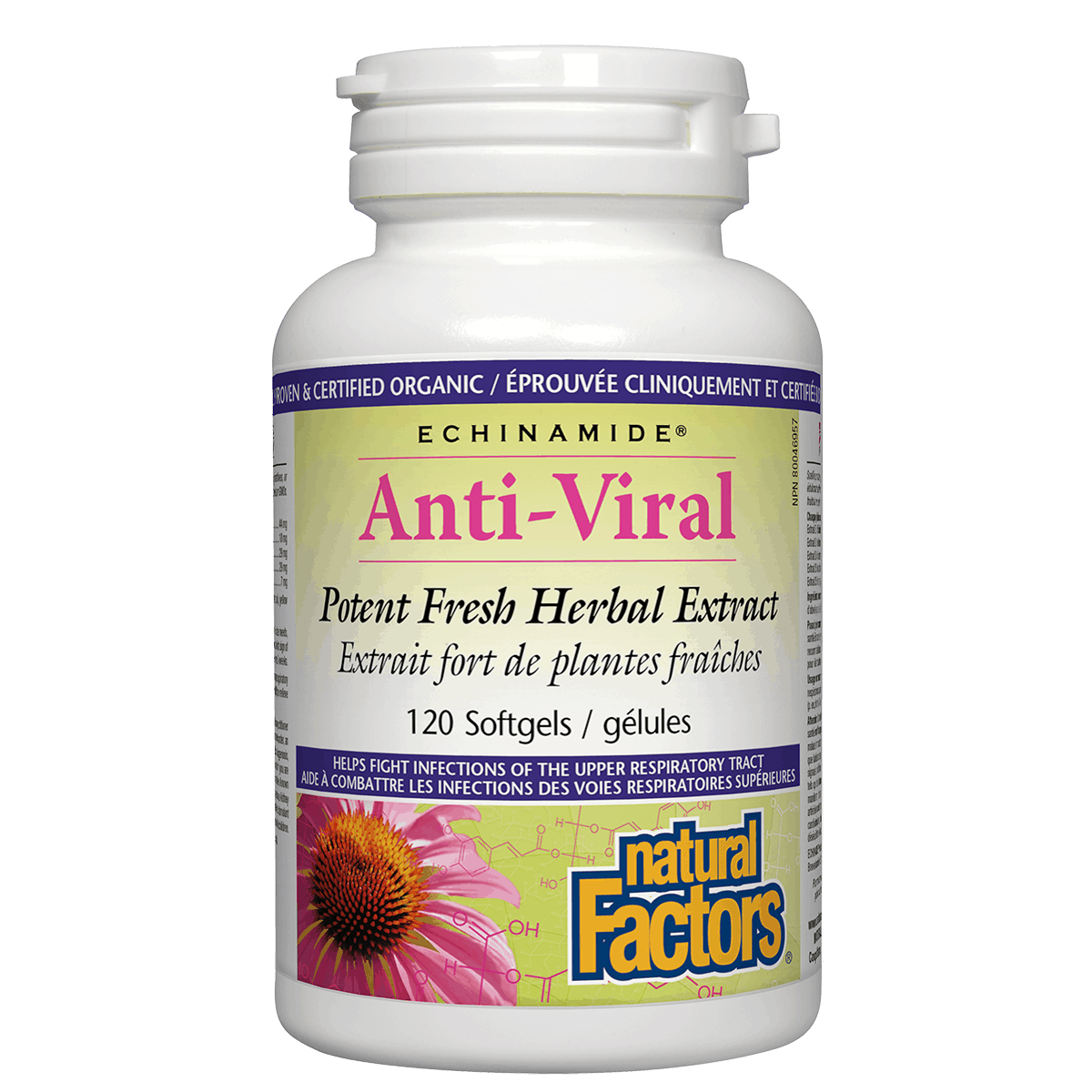 Bottle of Echinamide Anti-Viral supplement with a white background sold online natvd.com