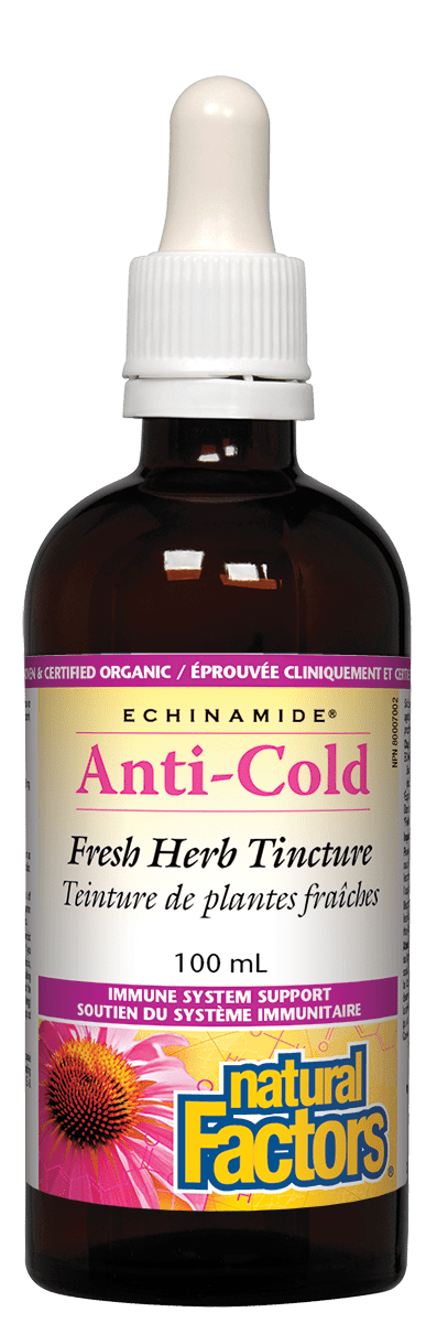 Bottle of Natural Factors Anti-Cold Fresh Herb Tincture with dropper on a green background