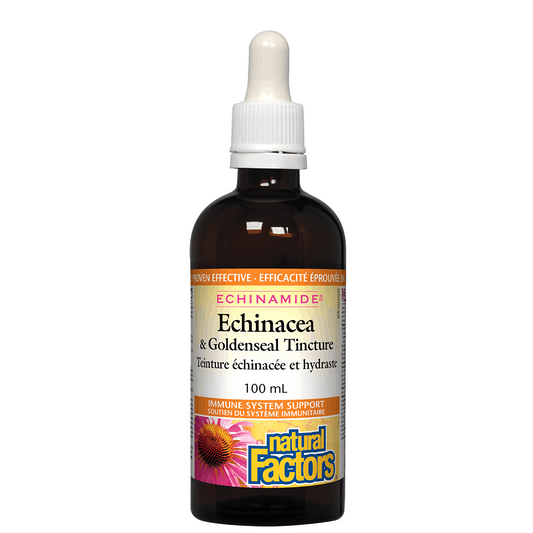 Bottle of Echinacea & Goldenseal Tincture with dropper labeled 'Natural Factors' on a white background