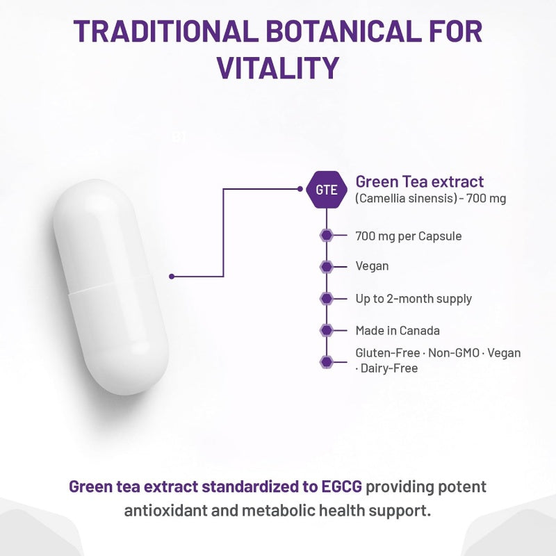 AOR Active Green Tea 700mg 180 Capsules