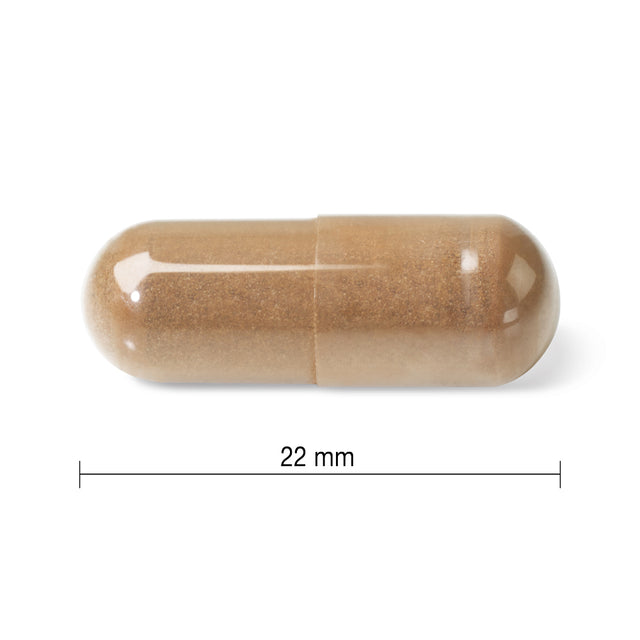 Jamieson 提高免疫力蘑菇複合萃取, 60粒素食膠囊