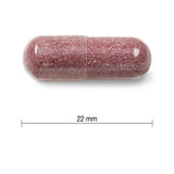 Jamieson 預防尿路感染蔓越莓濃縮 500毫克，60粒