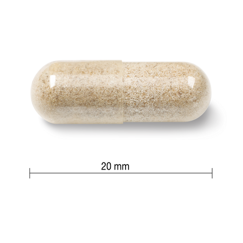 Jamieson 溫和補鐵膠囊 150 粒