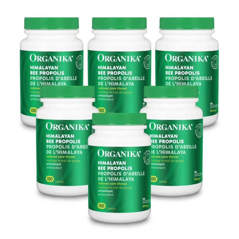 [优惠组合] 6瓶 X Organika 高纯度天然蜂胶胶囊, 500毫克, 100粒