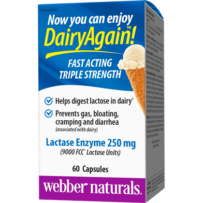 Box of Webber Naturals DairyAgain lactase enzyme supplement with ice cream cone illustration.