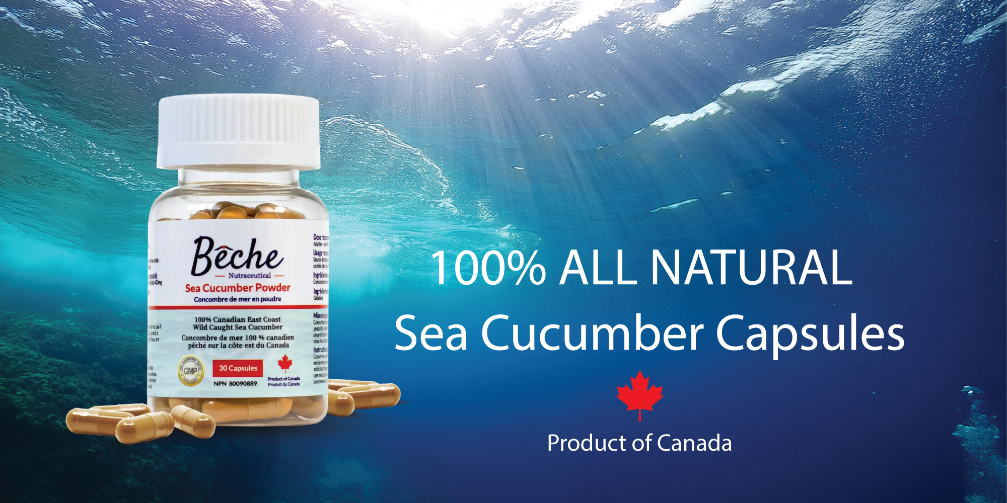 Beche sea cucumber capsules bottle with underwater background
