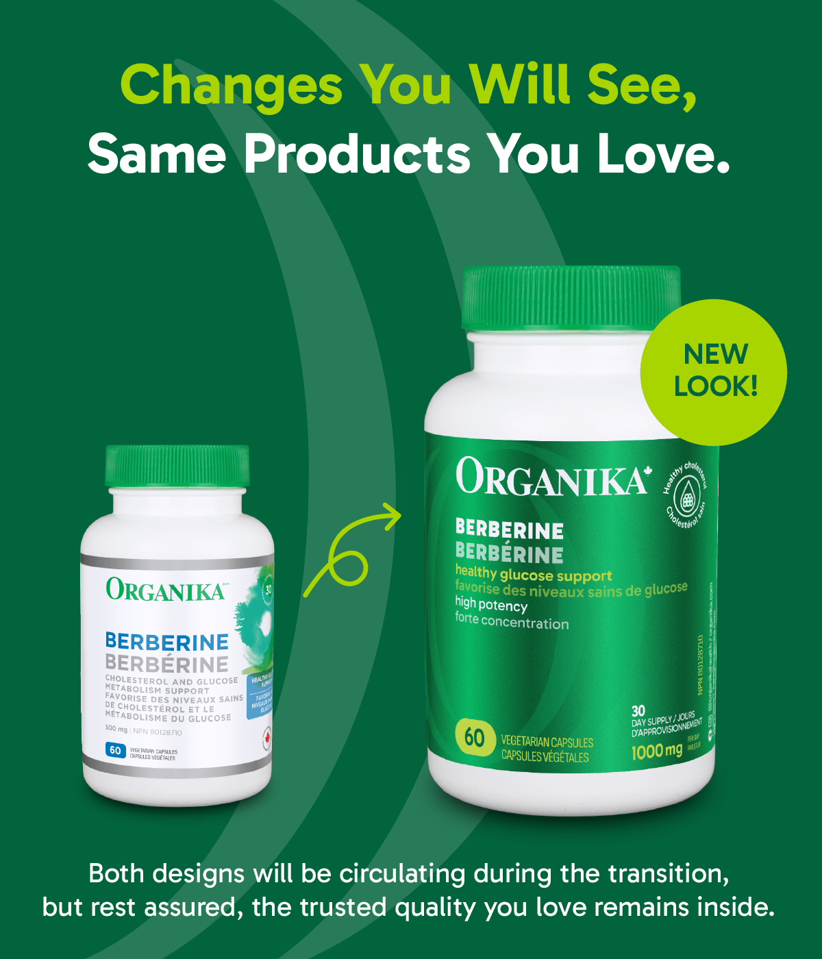 Organika Berberine 500 mg, Promotes cardiovascular well-being, 60 Vcaps