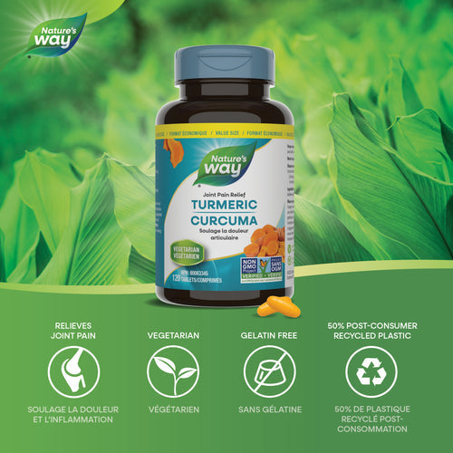 Nature's Way Turmeric Standardized 120 Tabs