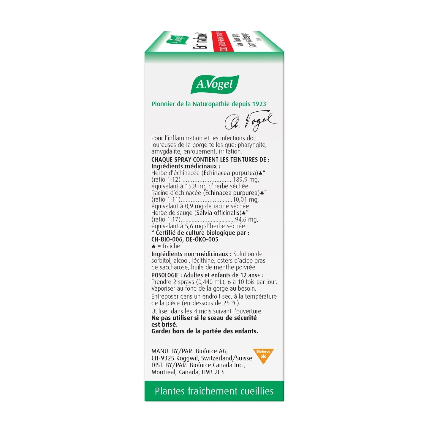 A. Vogel Echinaforce Sore Throat Spray 30 ml