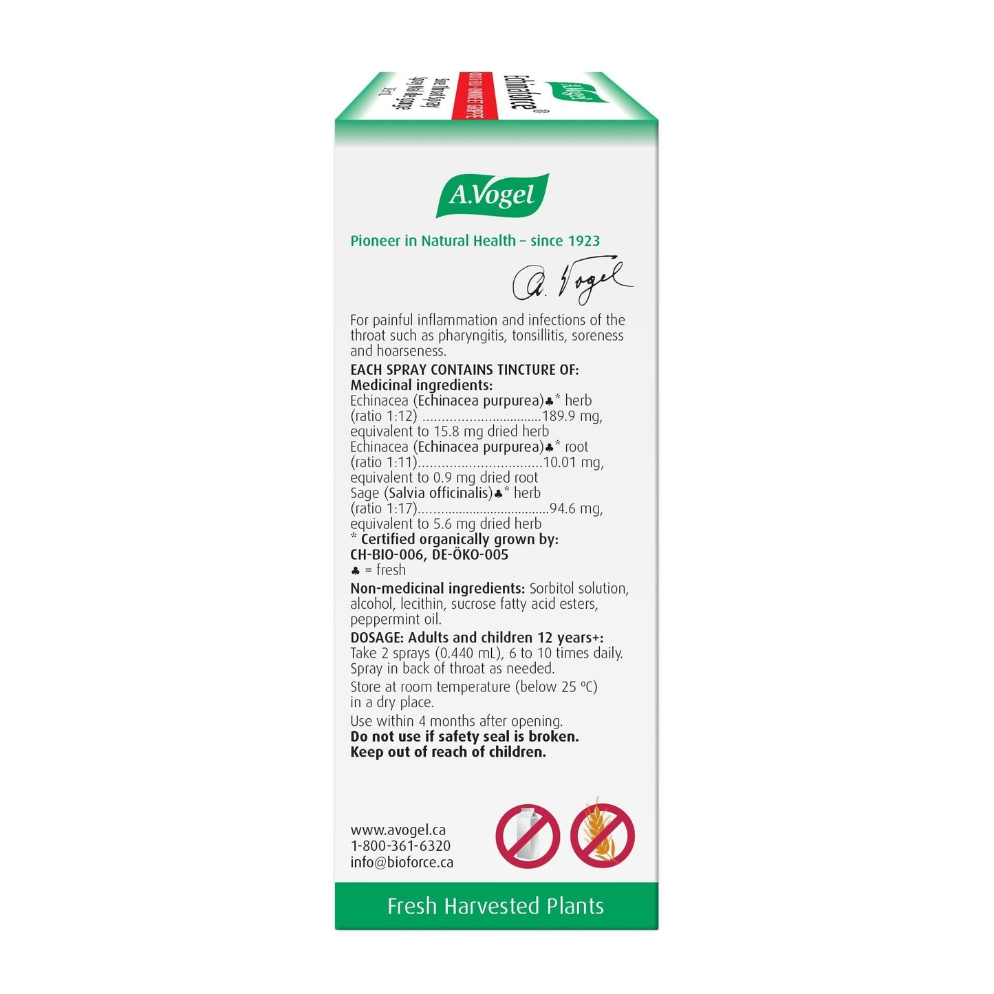 A. Vogel Echinaforce Sore Throat Spray 30 ml