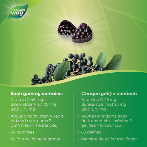 Nature's Way 接骨木感冒和流感护理，60 粒软糖