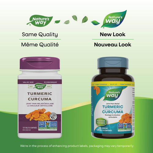 Nature's Way Turmeric Standardized 120 Tabs