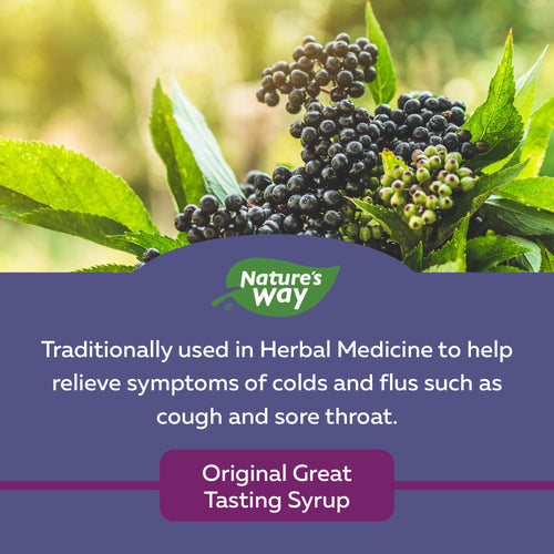 Nature's Way Original Sambucus Cold and Flu Care, Syrup, 120 ml