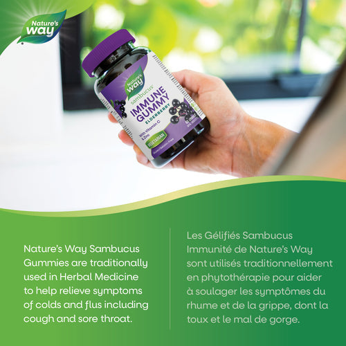 Nature's Way 接骨木感冒和流感护理，60 粒软糖