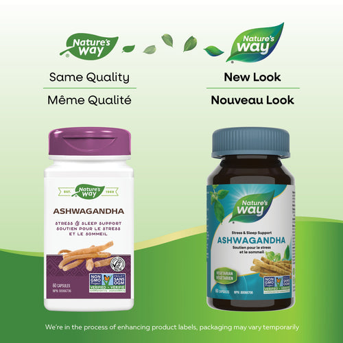Nature's Way Ashwagandha, 60 Vcaps
