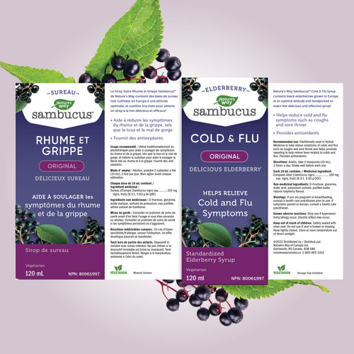 Nature's Way Original Sambucus Cold and Flu Care, Syrup, 120 ml