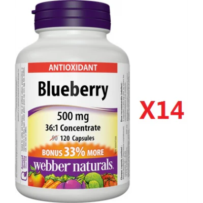 Webber Naturals Blueberry supplement bottle with label details on a white background