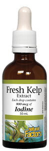 Natural Factors Fresh Kelp Extract, 800 mcg of Iodine Liquid, 50 mL