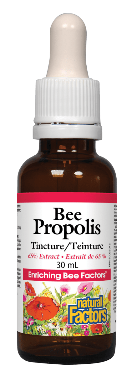 Bottle of Natural Factors Bee Propolis 65% Tincture, 30 ml size, with label detailing product information.