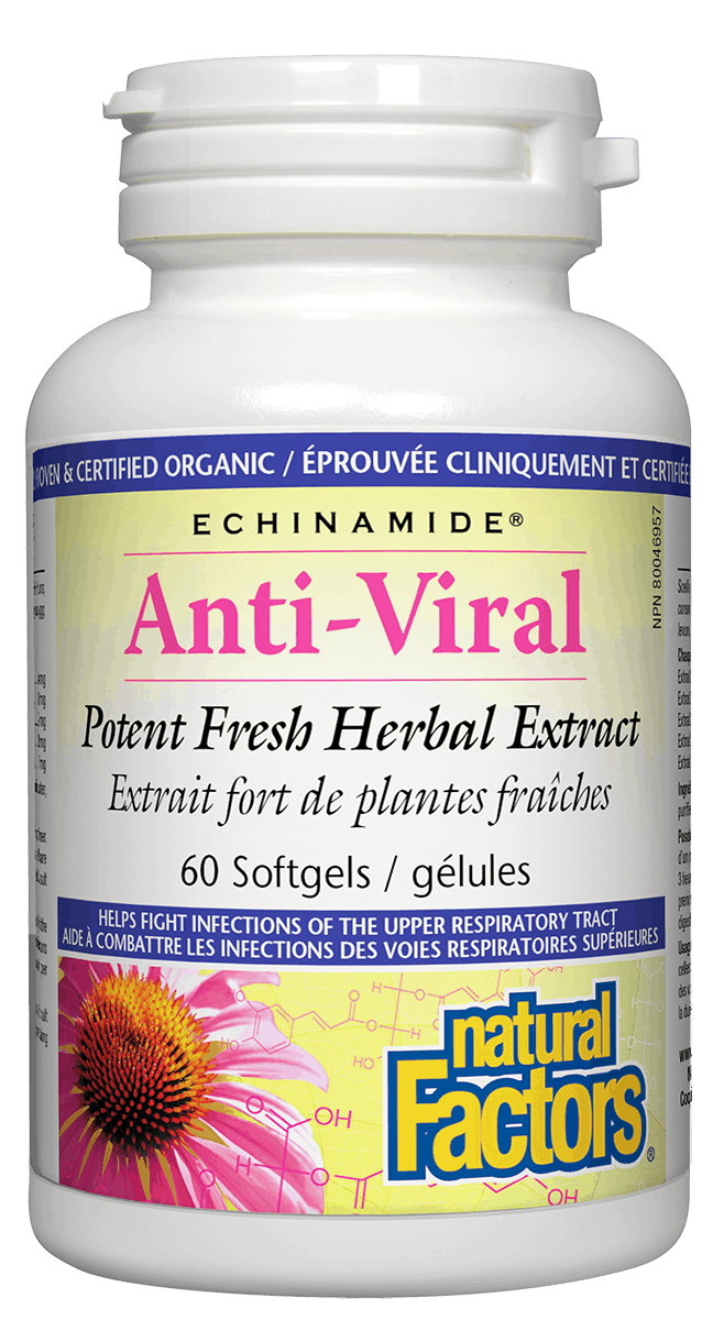 A bottle of Natural Factors Echinamide Anti-Viral softgels with 60 gel capsules, featuring a purple flower on the label.