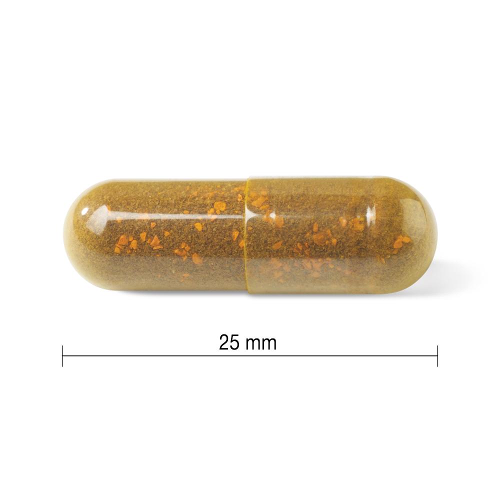  健美生  Jamieson Tart Cherry + Turmeric 30 capsules 25 mm length