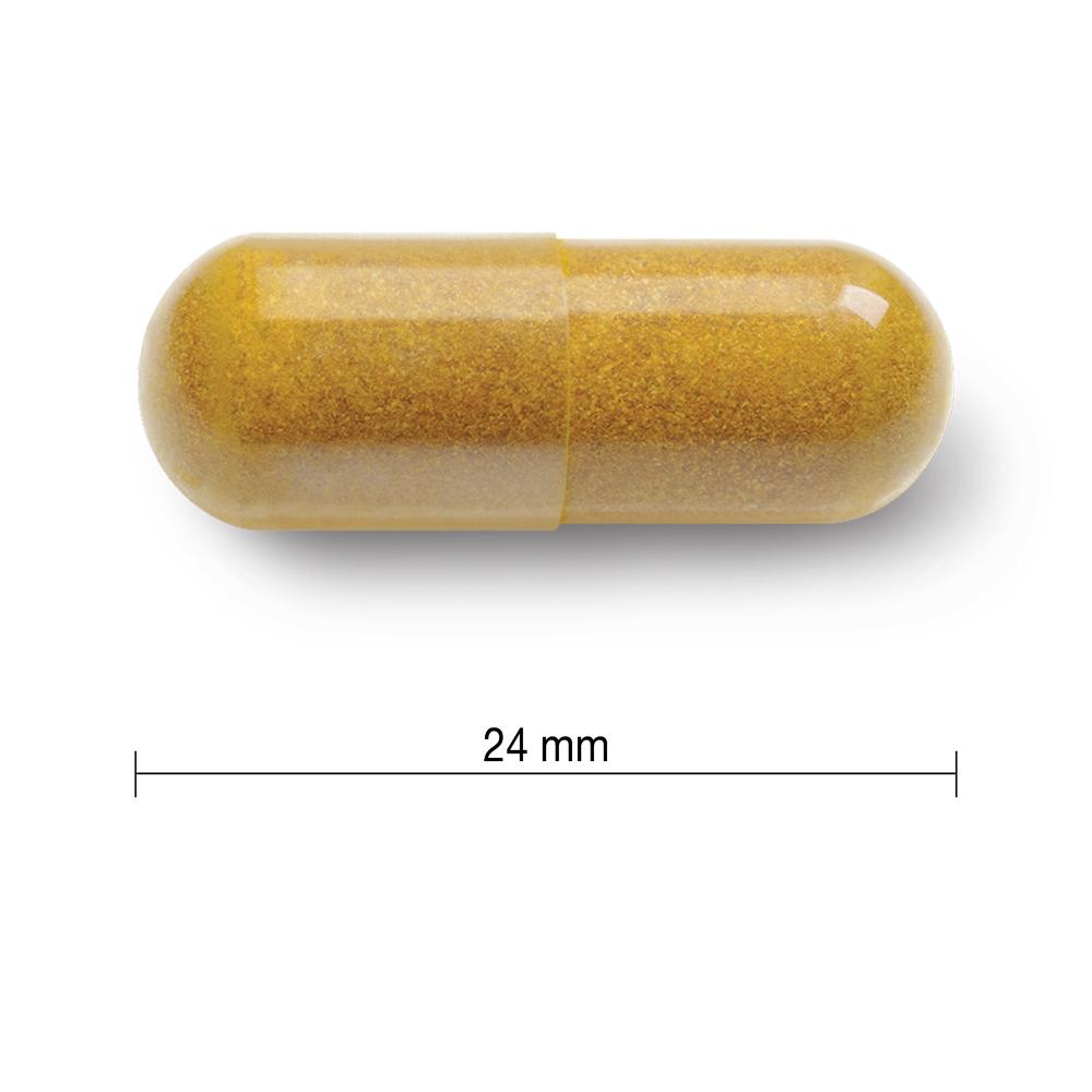 Jamieson Curcumin Turmeric 550mg 60caps