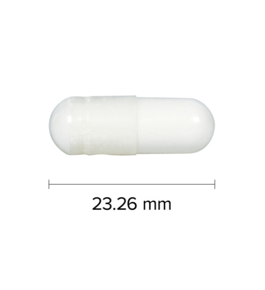 Webber Naturals L-Lysine 500 mg 60 veg capsule size 23.26 mm