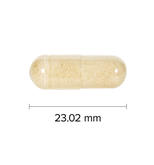 Webber Naturals Maca 500mg with Ginseng 200mg, 90 Vegetarian Capsule 23.02 mm