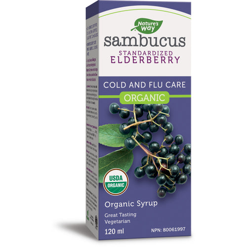 Nature's Way Organic Sambucus Cold and Flu Care, Syrup, 120 ml