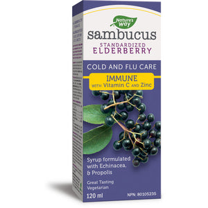Nature's Way Sambucus Immune Cold and Flu Care, Syrup, 4 fl oz (120 ml)