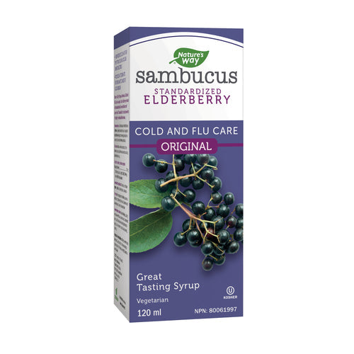 Nature's Way Original Sambucus Cold and Flu Care, Syrup, 120 ml