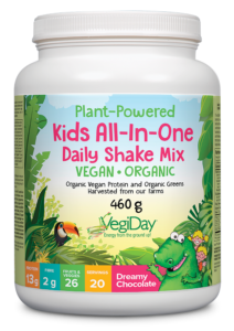 Natural Factors Big Friends Kids All-In-One Daily Shake Mix , Dreamy Chocolate, 460g