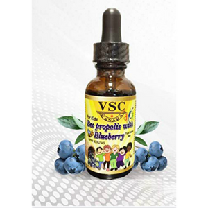 VSC Bee Propolis with Blueberry for Kids, 30 mL